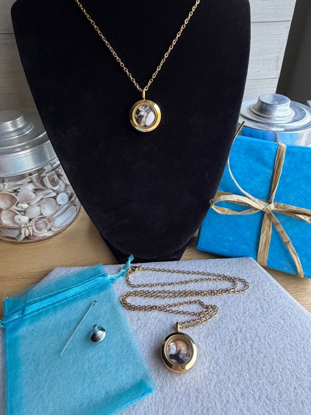 Gold Nautical Memory Locket w/Shells & Shark Tooth Stainless Steel 22”